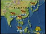 新闻袋袋裤 新闻袋袋裤 2010年 第272期