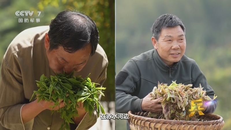 《老兵你好》 20250524 老兵的茶香之歌