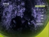 自然传奇 《自然传奇》 20171108 草原王者