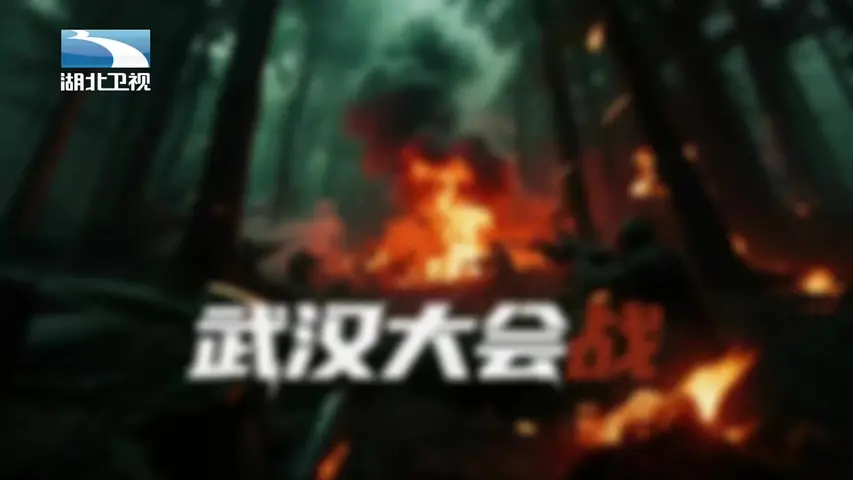 《武汉大会战》第1集