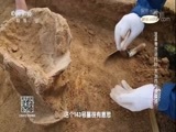 探索发现 《探索发现》 20180521 2018考古进行时 第一季 大冶四方塘墓地