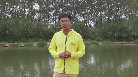 颍上班草湖 4小时爆口狂拉 18条巨青出水