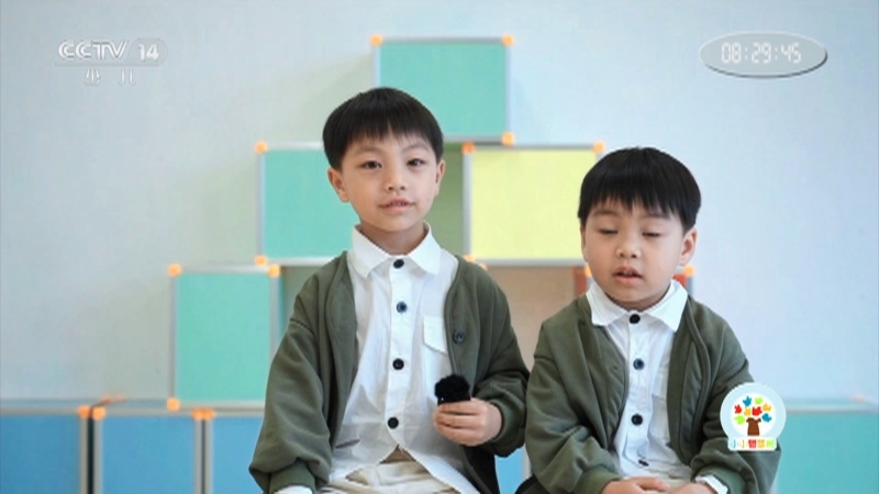 小小智慧树 《小小智慧树》 20250825