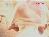 国际艺苑 《国际艺苑》 20120221