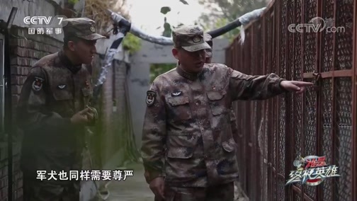 谁是终极英雄 《谁是终极英雄》 20191222 那些无言的战友们 我的战犬我的兵