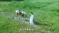 歪歌公社系列 输了老婆输了所有《赌鬼的泪》 最后输成狗 32