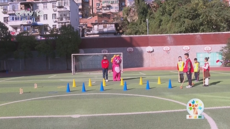 《智慧树》 20260130