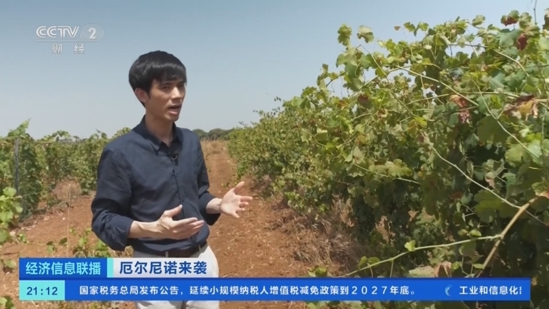 经济信息联播 《经济信息联播》 20230802