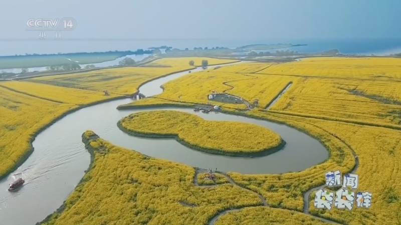 《新闻袋袋裤》 20260326