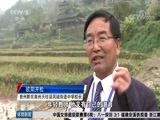 体育新闻 [体育新闻]完整版 20171120