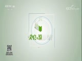 看我72变 《看我72变》 20180103 2017全国中小学生创意大赛