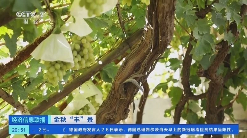 经济信息联播 《经济信息联播》 20220926