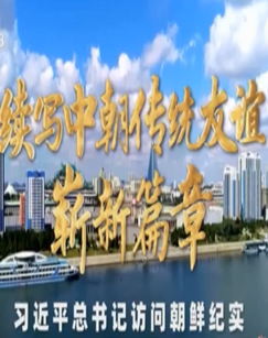续写中朝传统友谊崭新篇章&mdash;&mdash;习近平总书记访问朝鲜纪实 海报