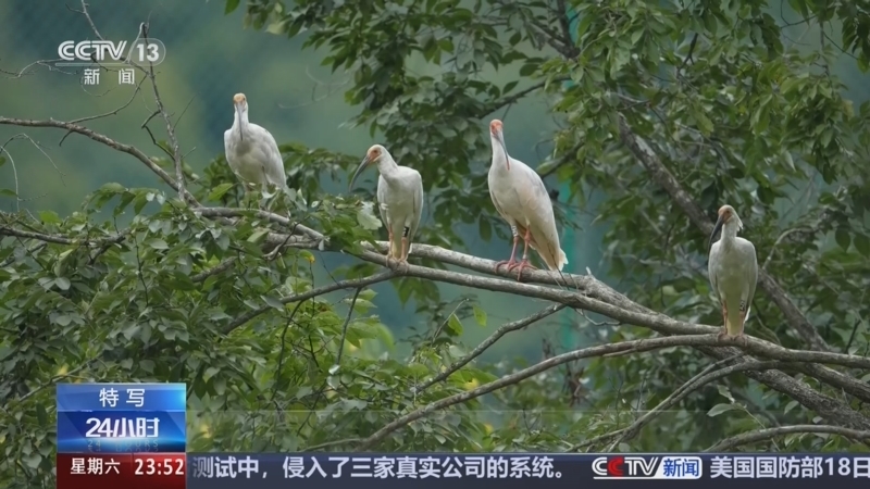 《24小时》 20260919