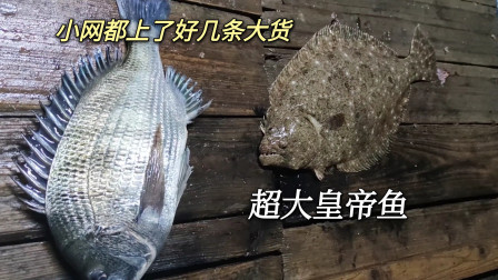 南澳岛赶海日记 彪哥下雨天还在外海捕鱼，小网都捕到好几条大货，还有超大皇帝鱼