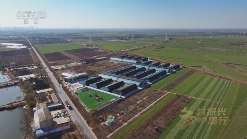 《乡村振兴中国行》第四季 20251212 数字乡村：科技赋能乡村 数字深耕沃野