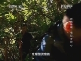 地理中国 《地理中国》 20140719 岭南秘境——“鬼山”之谜（中）