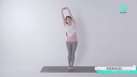 春困夏打盹，午休一组瑜伽动作，驱散睡意补充精力。