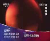 今日说法 《今日说法》 20140912 警察 出庭作证
