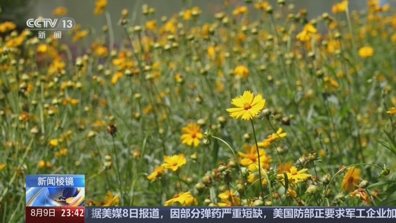 24小时 《24小时》 20260809