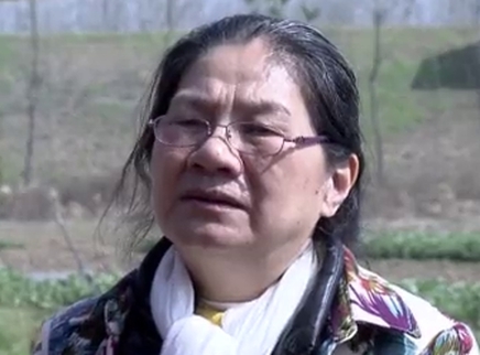 寻情记 古塔情缘 我的父母爱情（二）