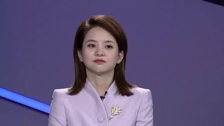 金牌调解 2024 追求“真爱”的妻子（下集）