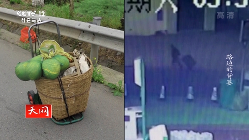 《天网》 20210524 路边的背篓
