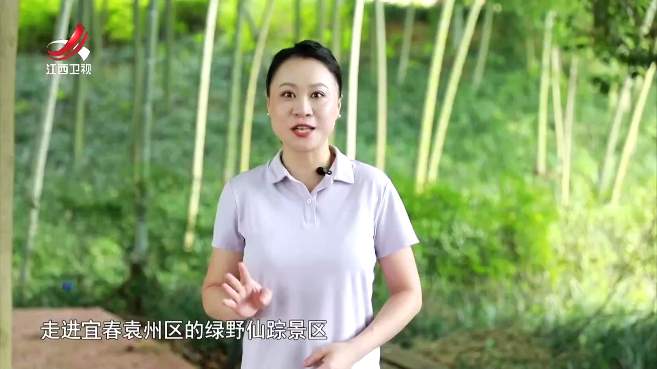 社会传真 “夏日经济”的热力密码