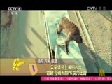 中国电影报道 《中国电影报道》 20150924