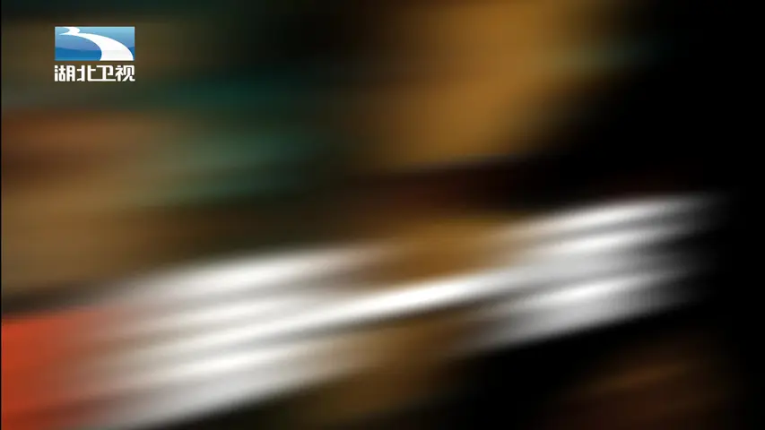 《中国打黑第一案》第2集