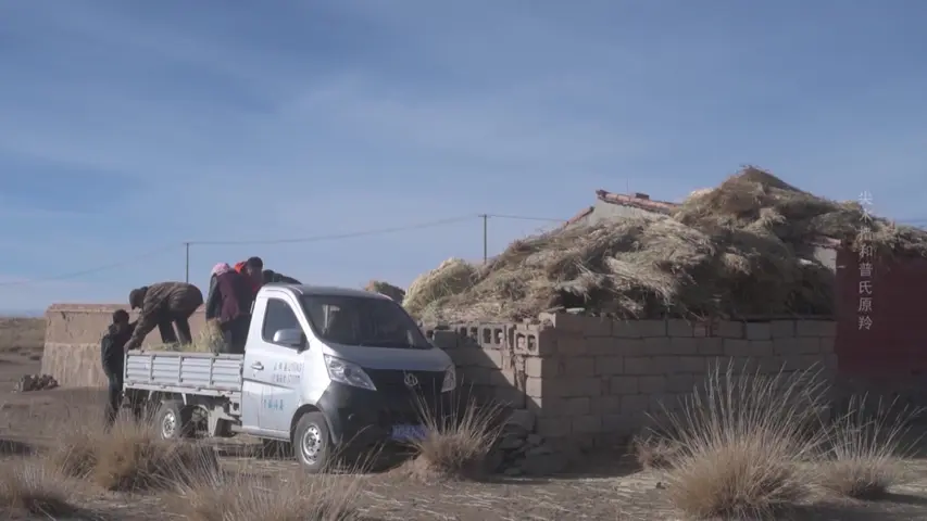 《看见中国：尖木措和普氏原羚》第1集