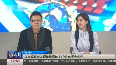 说天下 嫦娥四号着陆区实体命名“天津”“泰山”惊现月球