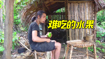 原始丛林人苏门答腊 第二季 丛林野外生存，森林发现挂满水果的树，有谁认识这种水果？
