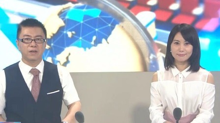 说天下 美国：海豚托着幼崽尸体不肯放手