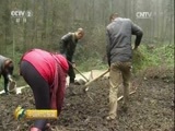 中国财经报道 《中国财经报道》 20170325 “中国标准”引领中药产业