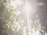 心理访谈 《心理访谈》 20171005 特别节目 心理的故事·终于找到你（五）