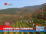 贵州新闻联播 《贵州新闻联播》 20170319