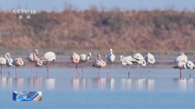 《新闻直播间》 20251206 09:00