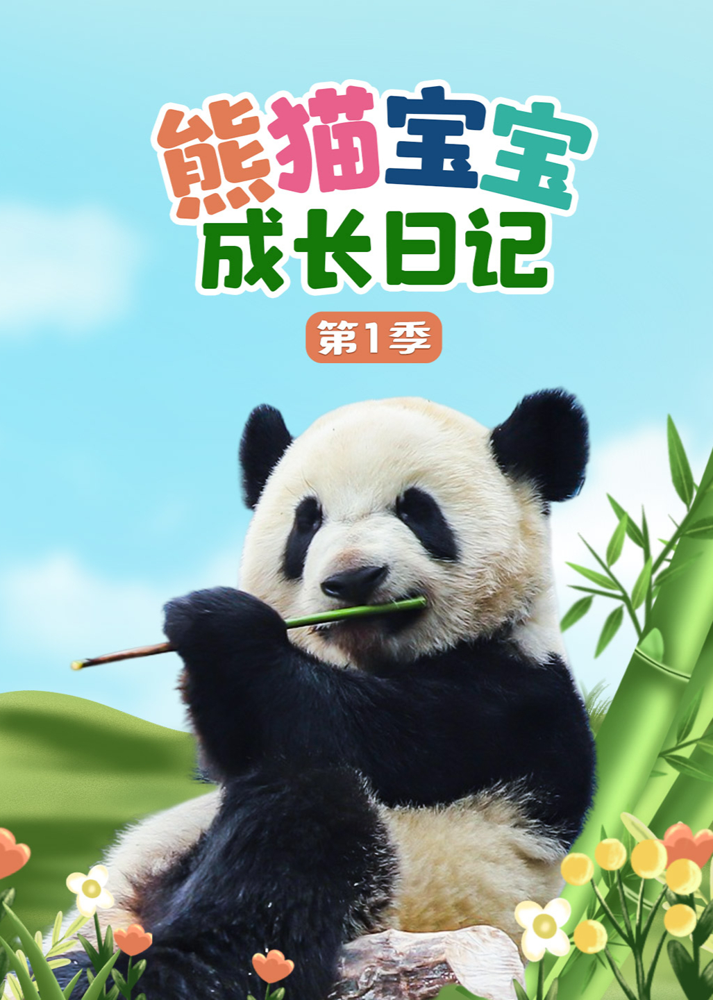 熊猫宝宝成长日记 第1季
