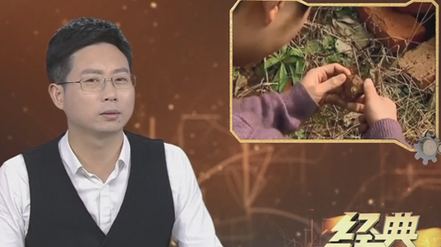 经典传奇 震惊·高中生发现珍贵史前遗址