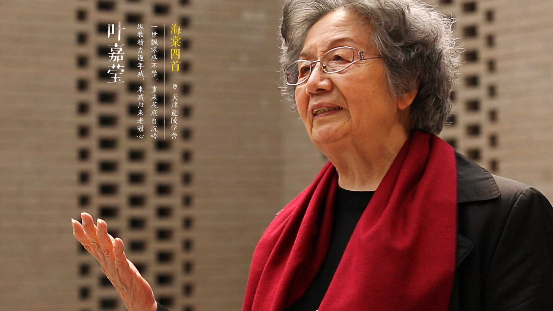 鲁豫有约 叶嘉莹·千春犹待发华滋