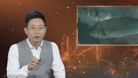经典传奇 神秘山洞外吐活鱼 守洞待鱼的奥秘