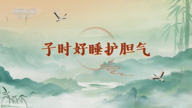 百家讲坛 《百家讲坛》 20260323 延年益寿话养生（第二部）9 子时好睡护胆气
