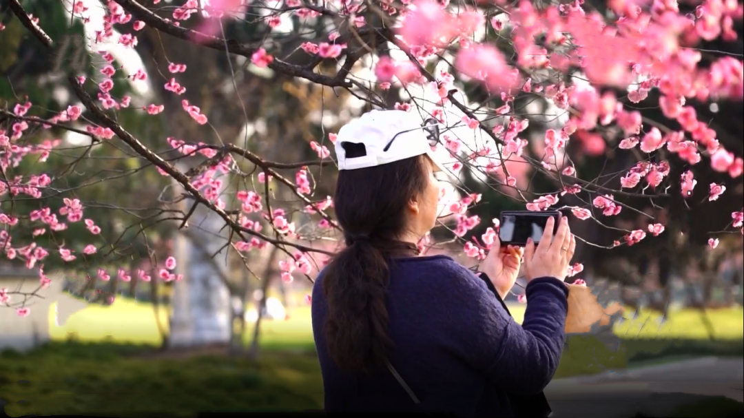 星&middot;旅途 赏花地图·南京