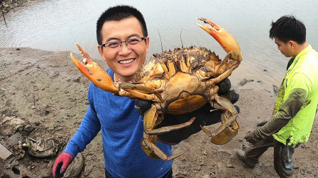 思乡渔夫赶海 废弃养殖场成大螃蟹天堂，1斤多的大螃蟹扎堆，渔夫爽了