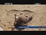 生财有道 《生财有道》 20141009 刘博士的鸵鸟经