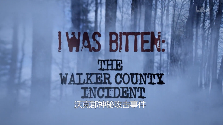 沃克郡神秘攻击事件