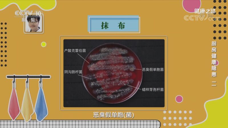 健康之路 《健康之路》 20201023 厨房健康隐患（二）