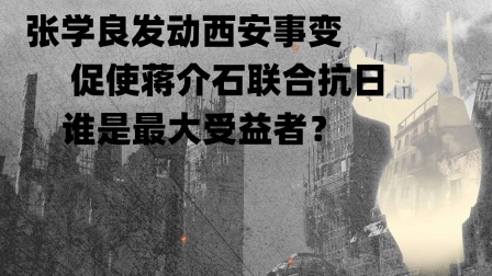 文史档案 张学良发动西安事变，促使蒋介石联合抗日，谁是最大受益者？