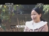 小区大事 《小区大事》 20141004 回归-阿芳的心事